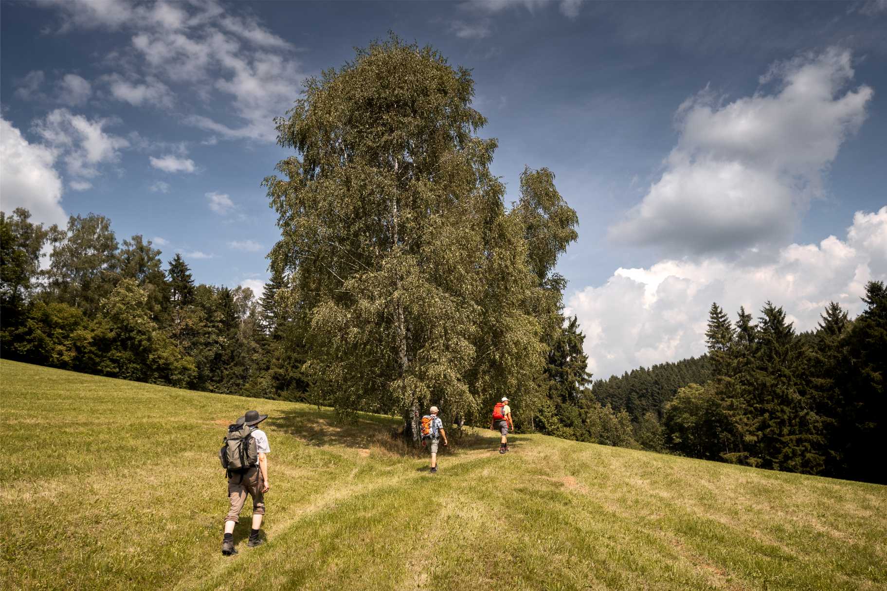 Nová poutní Wilheringská cesta spojuje  dva cisterciácké kláštery a Dunaj s Vltavou